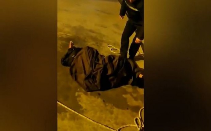 Bulvarda intihar edən sevgililərin görüntüsü yayıldı - VİDEO