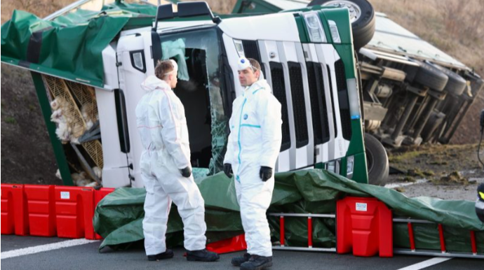 Yük maşını aşdı, 5 min toyuq yük yerindən qaçdı – FOTO