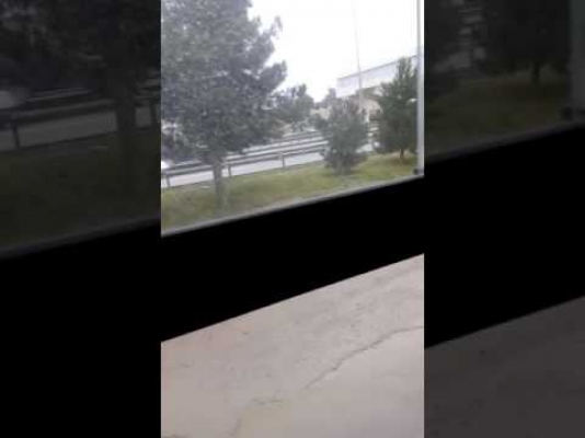 Qadın sərnişinlər sürücünü yıxıb sürüdü - Bakıda avtobusda dava