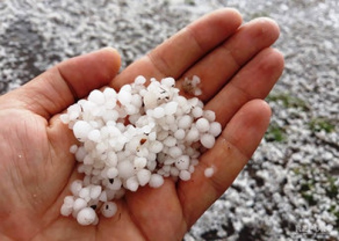 Yardımlı rayonuna dolu yağıb - FOTO