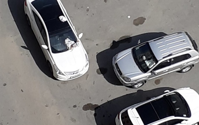 Bu zibili hansı jurnalist atıb? - FOTO