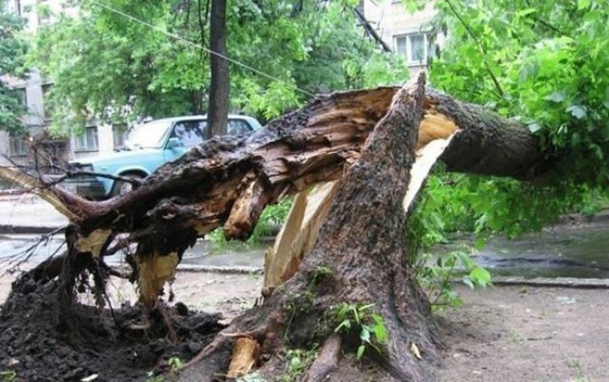 FHN bağlanan yolla bağlı açıqlama yaydı