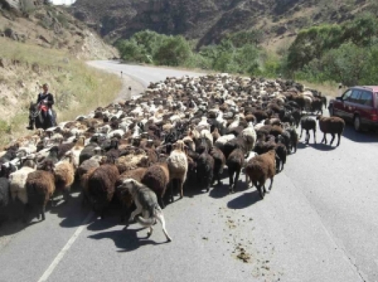 Bakıda bəzi yollarda sıxlıq yaranıb