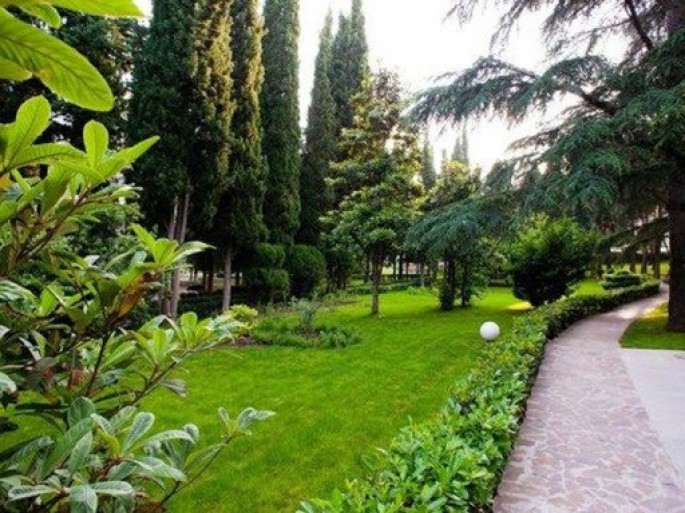 Bakının bir sıra küçə və prospektində ağaclar köçürüləcək