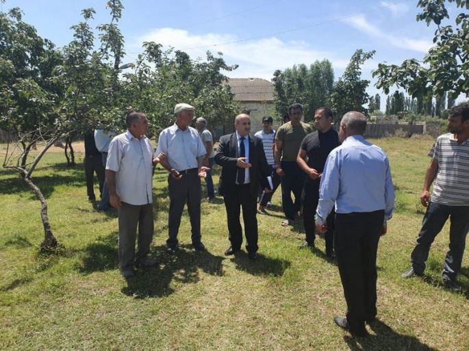 Çingiz Qənizadə seçicilərin şikayətlərini dinləyib  