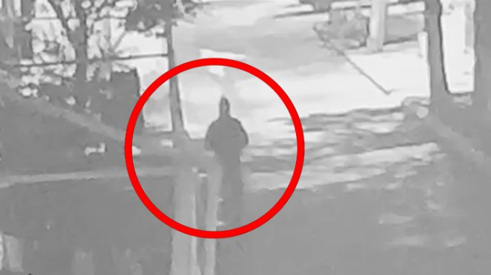 Evlərdən və avtomobillərdən oğurluq edən iki qardaş saxlanıldı - FOTO - VİDEO