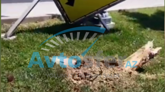 “Yango” taksi yüksək sürətlə qəza törədib ağacı kökündən qopardı - VİDEO