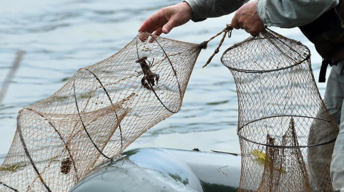 Qanunsuz balıq ovuna qarşı reydlər davam etdirilir