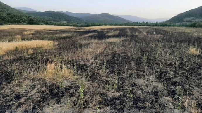 Qubada elektrik naqilləri qırılaraq taxıl sahəsinə düşüb, yanğın baş verib 