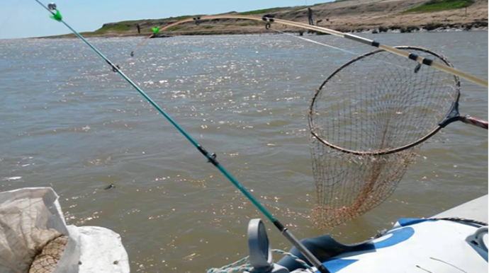 Qanunsuz balıq ovlayan şəxs tutuldu 