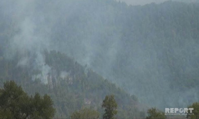 Qəbələdə baş verən meşə yanğınları yeni ərazilərə keçib - FOTO