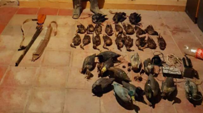 “Qırmızı kitab”a düşmüş quşları ovlayan şəxslər saxlanılıb