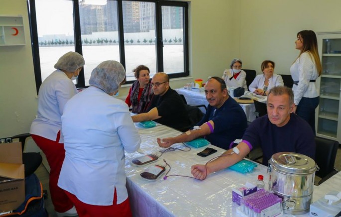 Bakı Nəqliyyat Agentliyinin əməkdaşları qan verdi - FOTO