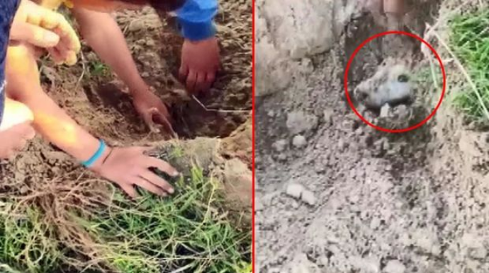 Uşaqlar diri-diri basdırılan küçükləri xilas etdilər   - VİDEO