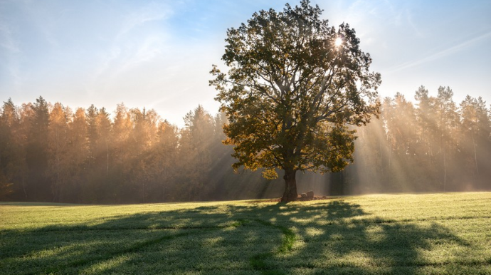 Sabaha gözlənilən hava proqnozu açıqlanıb