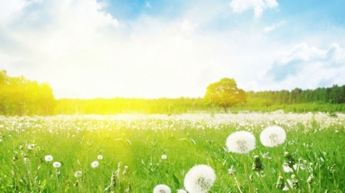 Sabah 42 dərəcə isti olacaq