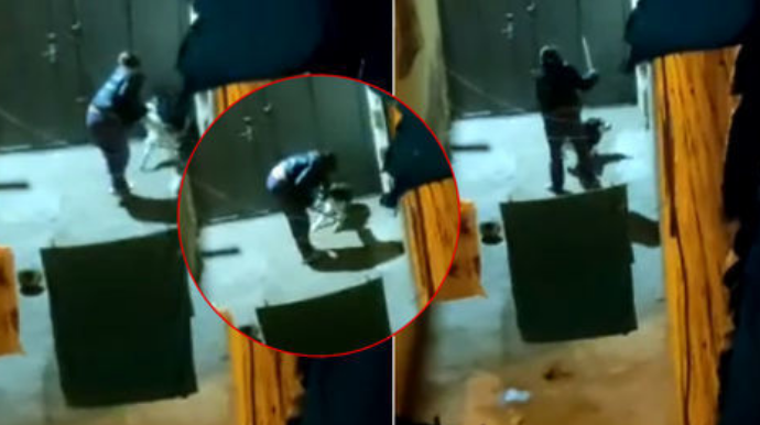 В Баку хозяин-живодер регулярно избивает свою собаку  - ВИДЕО