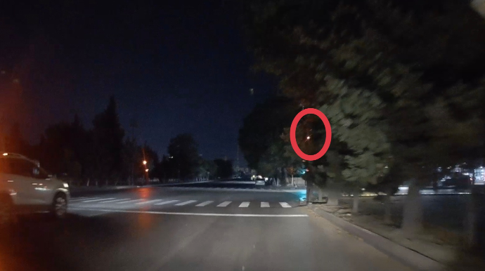 Sürücülər ağacın arxasında qalan svetoforu görə bilmir - VİDEO