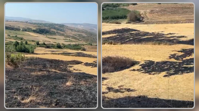Şamaxıda yanğın törədən şəxs məsuliyyətə cəlb olundu