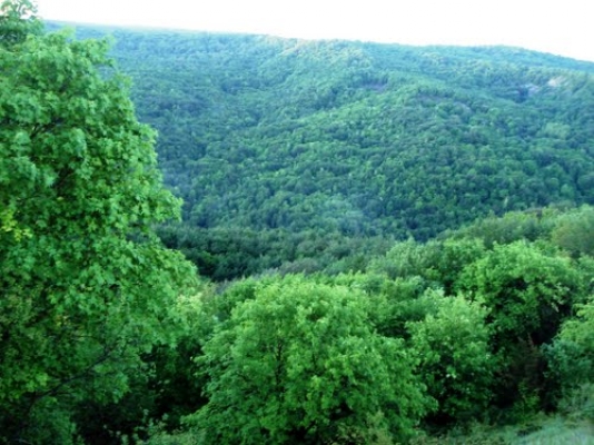 AZAL prezidenti turizmə belə zərbə vurur – BİABIRÇILIQ