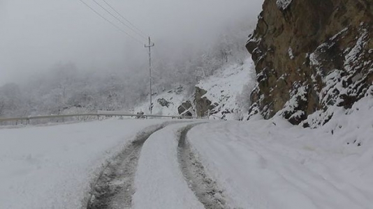 Qar uçqunu nəticəsində yeddi nəfər ölüb