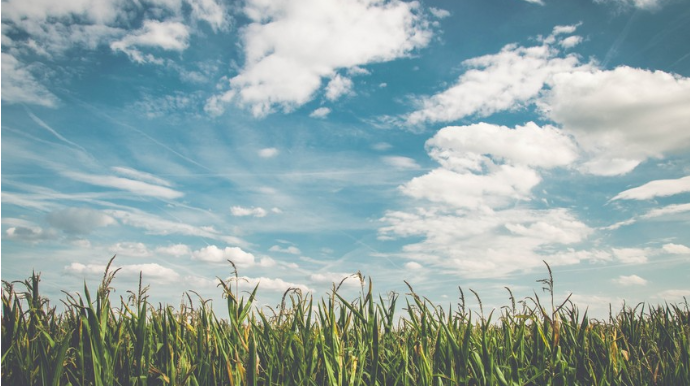 Sabah Bakıda hava yağmursuz olacaq, külək əsəcək