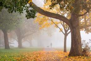 Hava şəraiti qeyri-sabit keçəcək - XƏBƏRDARLIQ