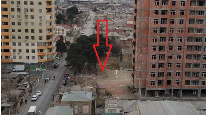 Xırdalanda yolu dağıdan tikinti şirkəti indi də ağacları qanunsuz kəsib - FOTO 