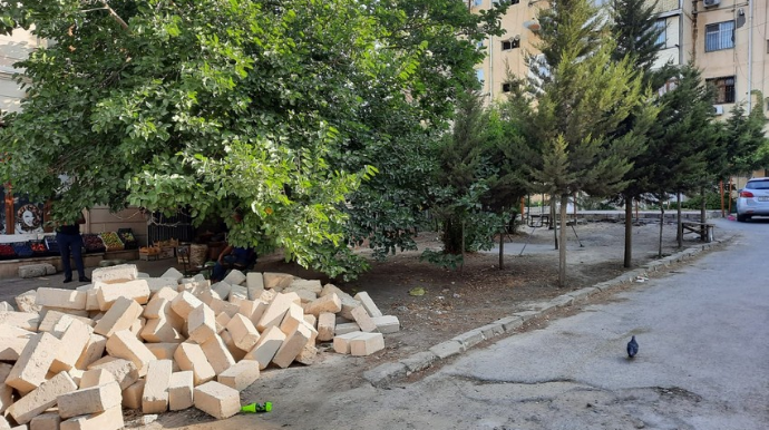 Nizami rayonunda ağacların kəsilərək tikinti aparılmasının qarşısı alınıb  - FOTO