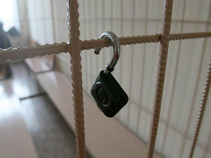 Polkovnikə hökm oxundu: 1 milyon manat dələduzluqda təqsirləndirilib