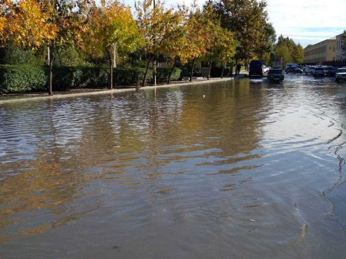 Bərdədə güclü yağış və külək bir sıra fəsadlar törədib - FOTO