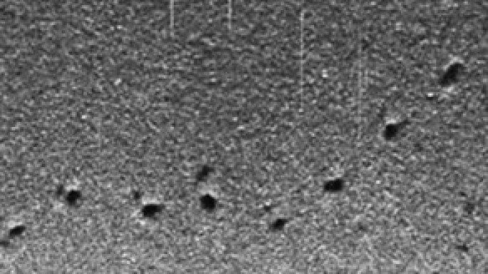 Yerdə olmayan texnikanın izi tapılıb - Sakit Okeanda