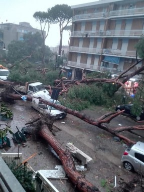 Güclü külək nəticəsində ölənlərin sayı 7-yə çatıb - FOTO