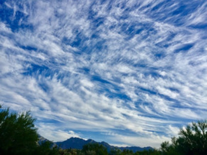 Bakıda 20, rayonlarda 25 dərəcə isti olacaq