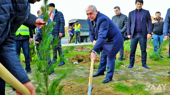 “Heydər Əliyev İli” çərçivəsində ağacəkmə aksiyası keçirildi  - FOTO - VİDEO