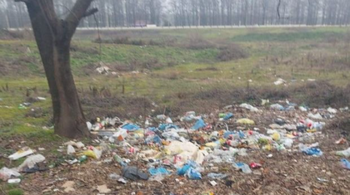 Masallıda ətrafı məişət tullantıları ilə zibilləyən şəxslər cərimələndi  - FOTO