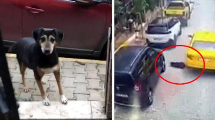 Sürücünün rəzilliyi hər kəsi qəzəbləndirdi  - VİDEO