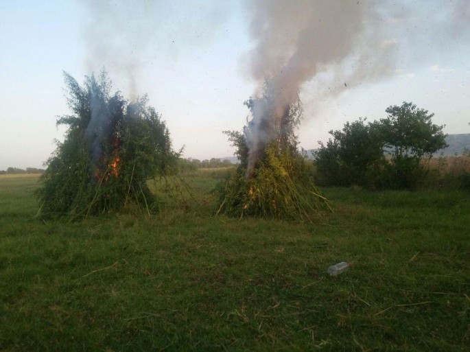 Narkotik vasitələrin ölkəyə gəti­ril­məsinin qar­şısı alınıb - FOTO