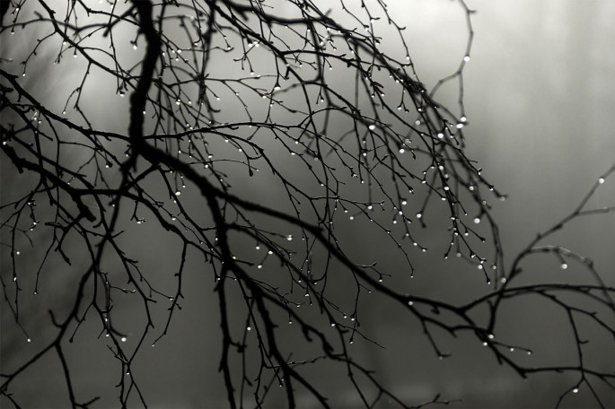 Bazar gününə gözlənilən hava proqnozu