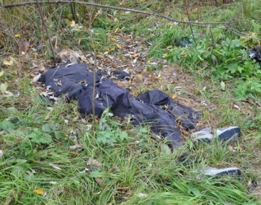 Polisin oğlu əsgərlikdən geri çağırılaraq həbs edildi - Salyanda