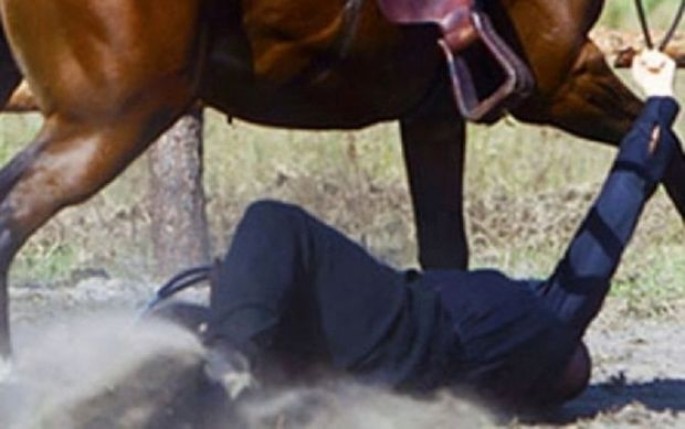 Tərtərdə avtomobil atlını vurub öldürdü