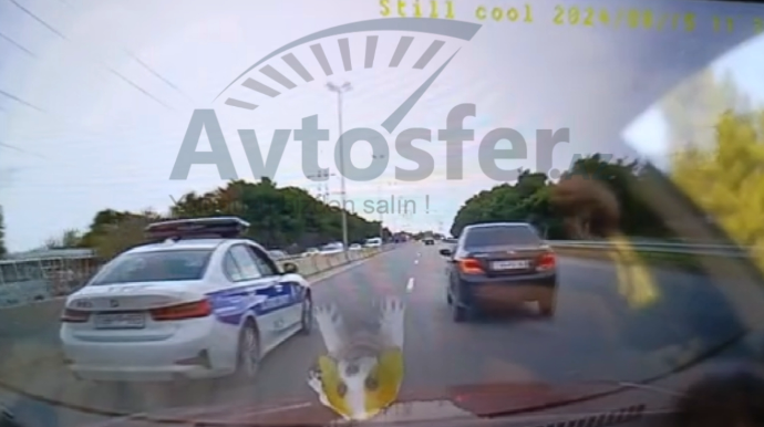 Yol polisi sürət həddini aşan avtomobili arxadan çəkə bilər? - Qanun deyir ki... - VİDEO