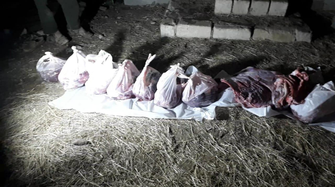 AQTA qanunsuz heyvan kəsimi fəaliyyətinin qarşısını alıb - FOTO 