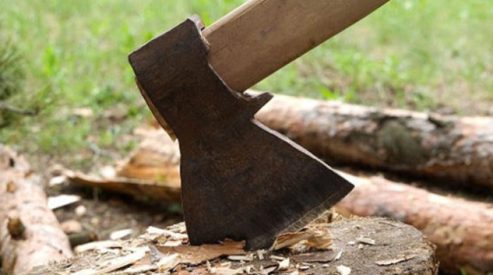 Bu yerlərdə yaşıllıqları məhv etdilər - Təbiətə 381 min manatlıq ziyan vuruldu