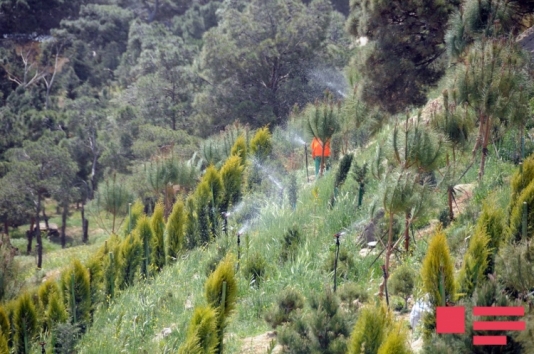 Avtomobil yolunun kənarında torpaq uçqunu oldu - Qaraçuxurda