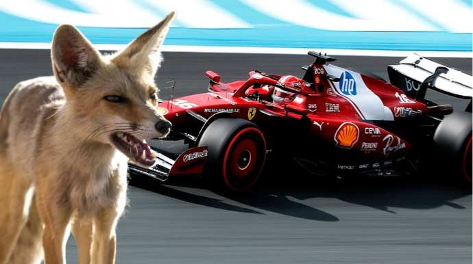 "Formula-1":  Niderland Qran-prisində gözlənilməz qonaq - VİDEO