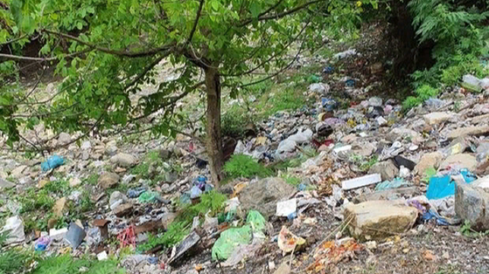 Qəbələdə tullantılar meşəyə atılıb - AÇIQLAMA