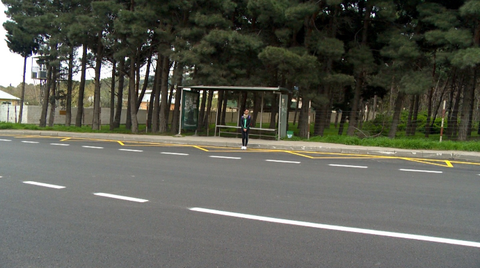 Biləcəridəki şamlıq ərazi baxımsız vəziyyətə düşüb; icradan reaksiya yoxdur – FOTO