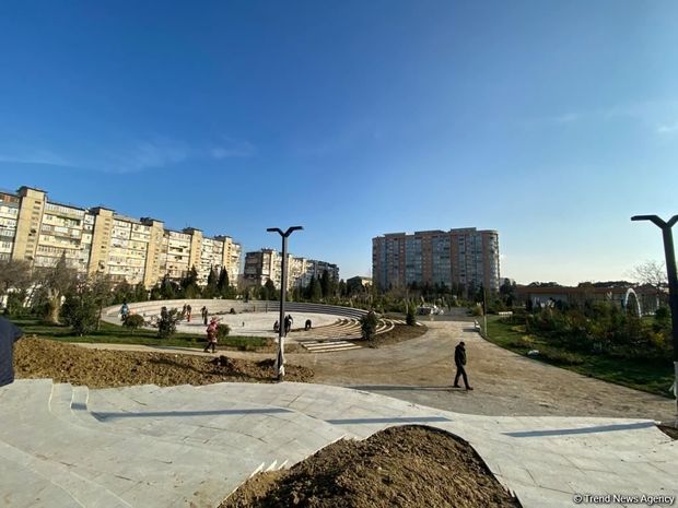 Bakıda salınan yeni parkın 70 faizi meşə zonası olacaq - FOTO 