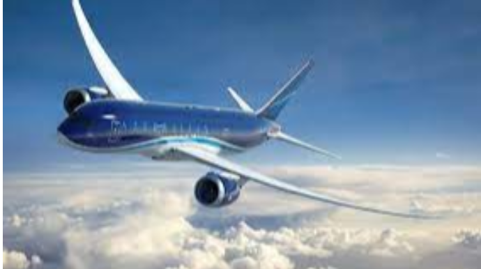 AZAL Bakı-Naxçıvan-Bakı reysinə aviabiletlərin alışı ilə bağlı müraciət edib